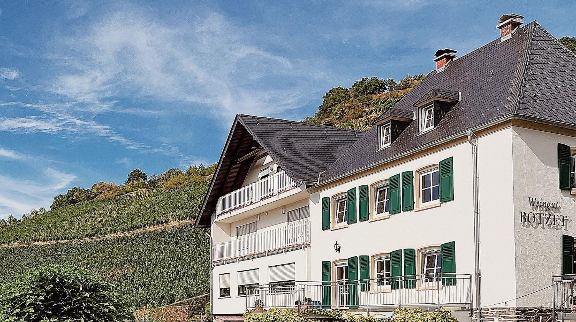 Pension 1595 Im Weingut Botzet Maring-Noviand Exterior photo